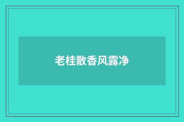 老桂散香风露净