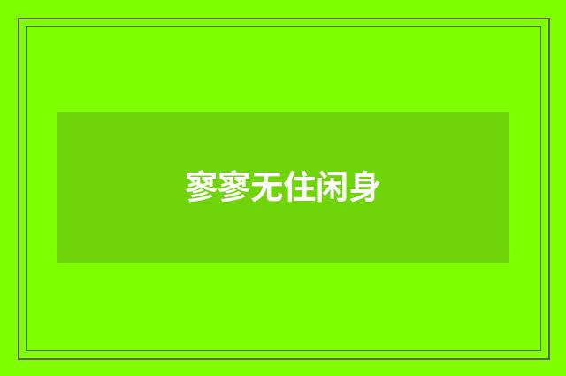 寥寥无住闲身