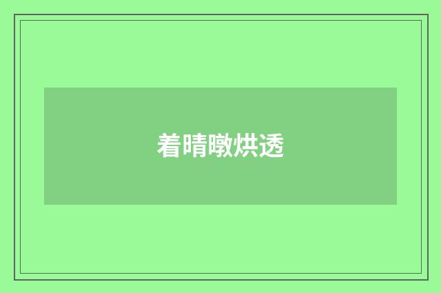 着晴暾烘透