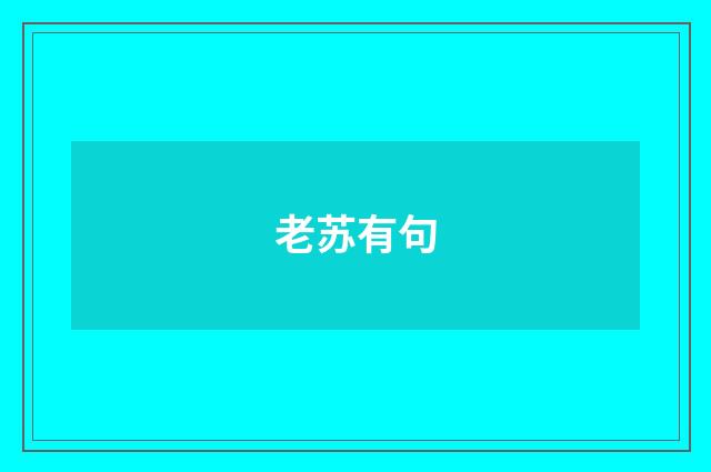老苏有句
