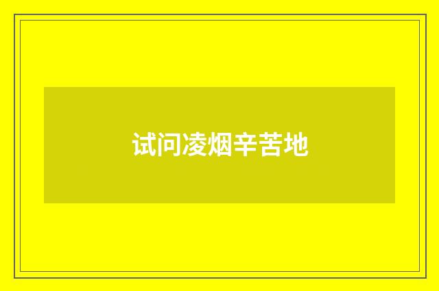 试问凌烟辛苦地