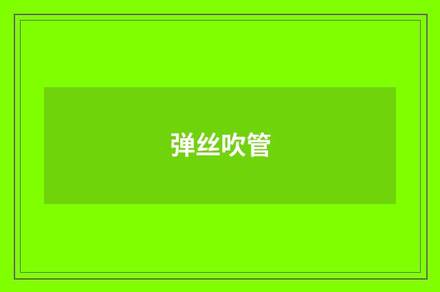 弹丝吹管