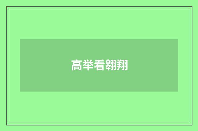 高举看翱翔