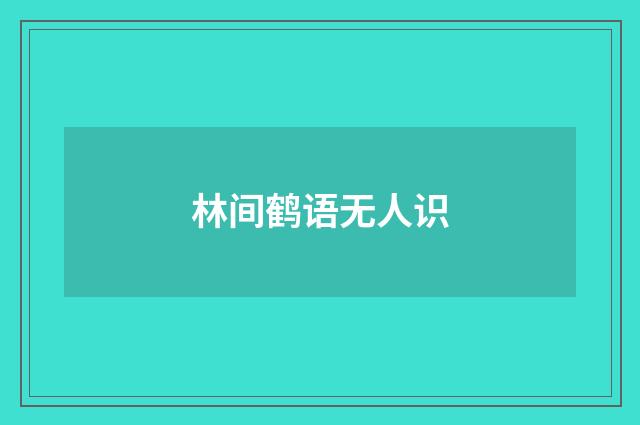 林间鹤语无人识