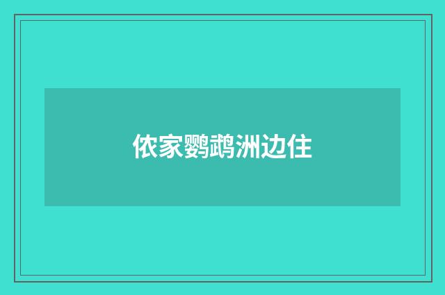 侬家鹦鹉洲边住