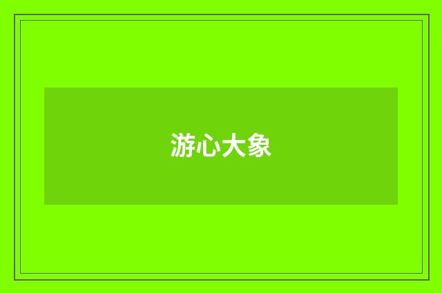 游心大象