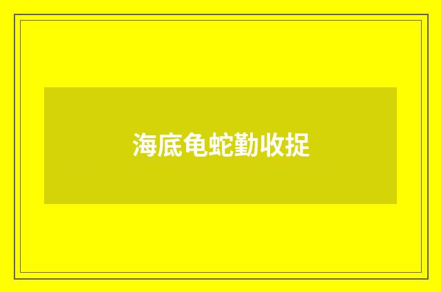 海底龟蛇勤收捉