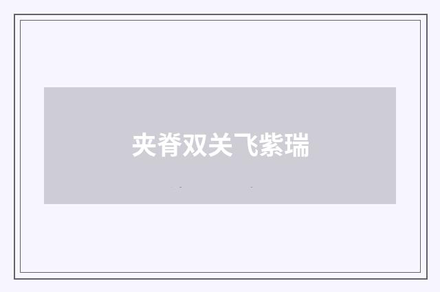 夹脊双关飞紫瑞