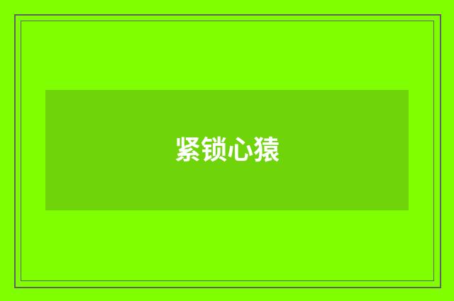 紧锁心猿