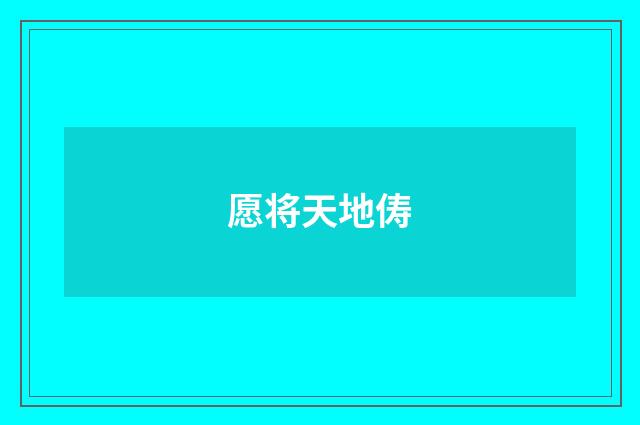 愿将天地俦