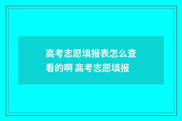高考志愿填报表怎么查看的啊 高考志愿填报