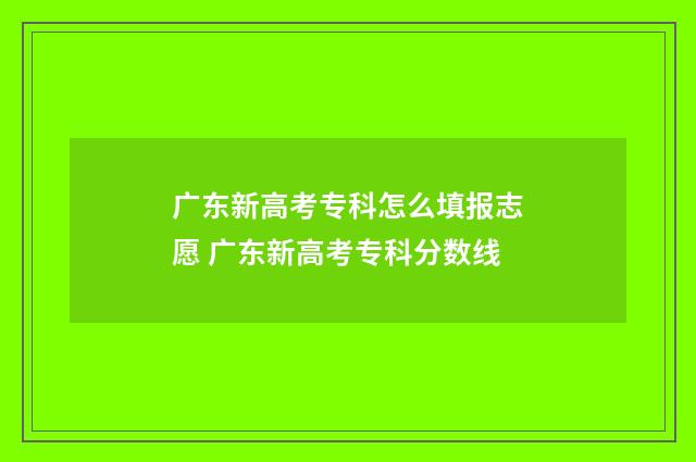 广东新高考专科怎么填报志愿 广东新高考专科分数线