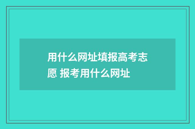 用什么网址填报高考志愿 报考用什么网址