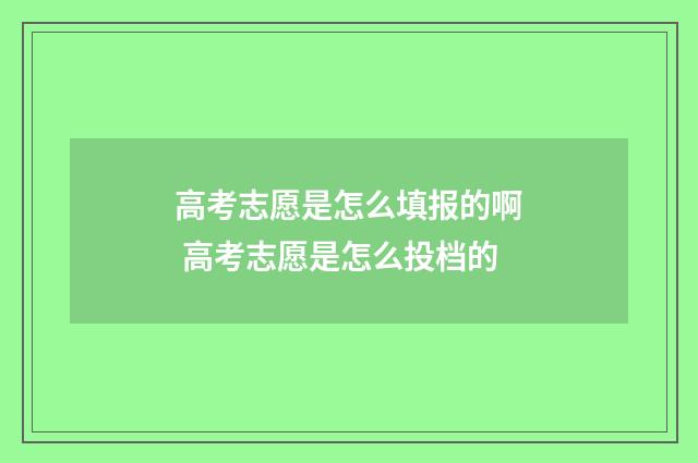 高考志愿是怎么填报的啊 高考志愿是怎么投档的