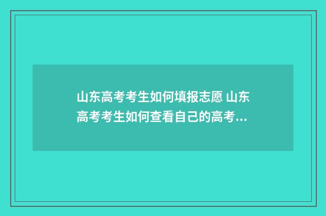 山东高考考生如何填报志愿 山东高考考生如何查看自己的高考志愿填报状态