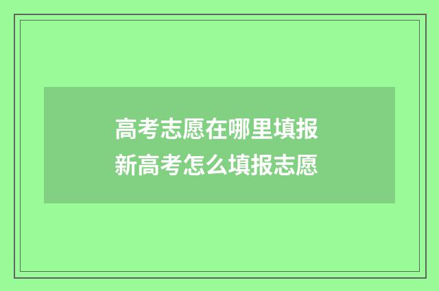 高考志愿在哪里填报 新高考怎么填报志愿