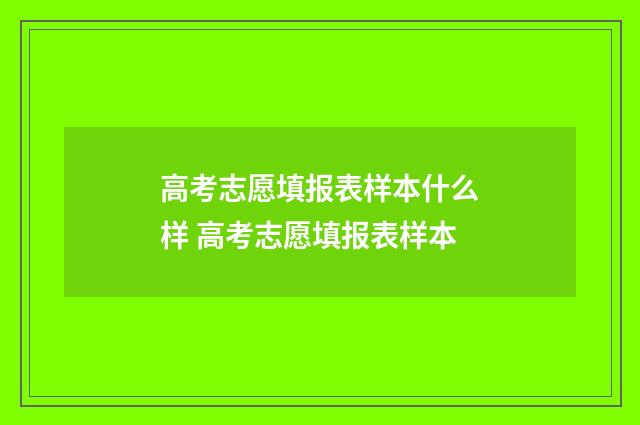 高考志愿填报表样本什么样 高考志愿填报表样本