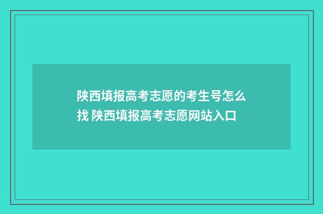 陕西填报高考志愿的考生号怎么找 陕西填报高考志愿网站入口