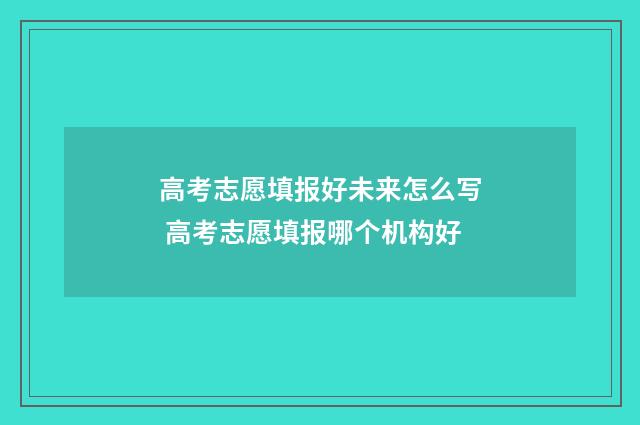 高考志愿填报好未来怎么写 高考志愿填报哪个机构好