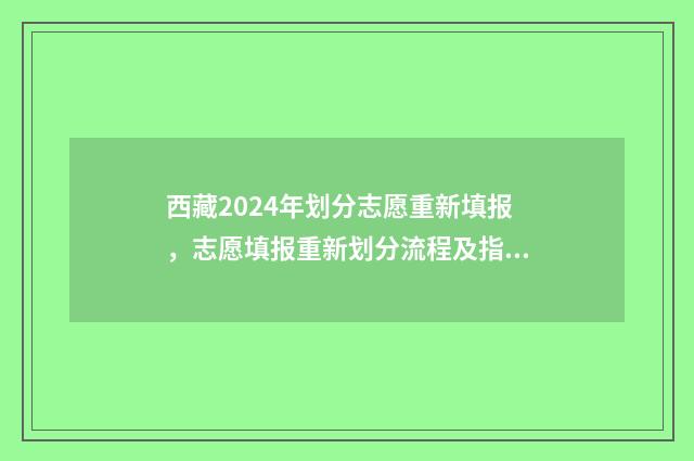 西藏2024年划分志愿重新填报,志愿填报重新划分流程及指南 西藏分省区划改革