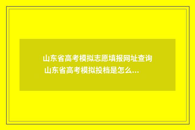 山东省高考模拟志愿填报网址查询 山东省高考模拟投档是怎么回事