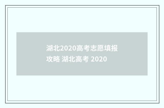 湖北2020高考志愿填报攻略 湖北高考 2020