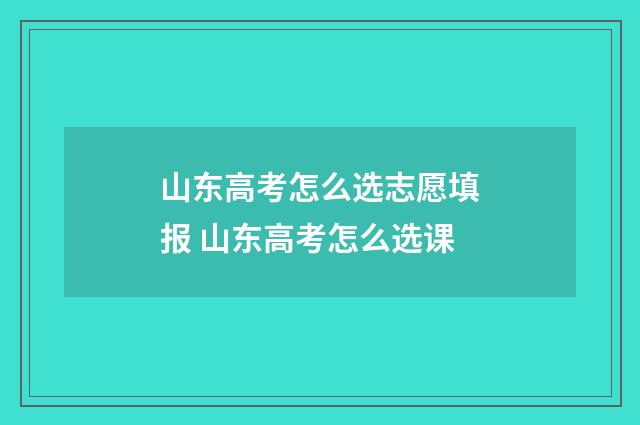 山东高考怎么选志愿填报 山东高考怎么选课