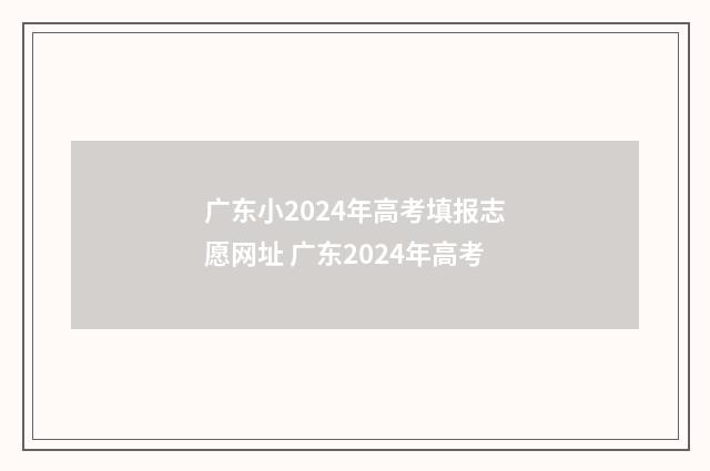 广东小2024年高考填报志愿网址 广东2024年高考