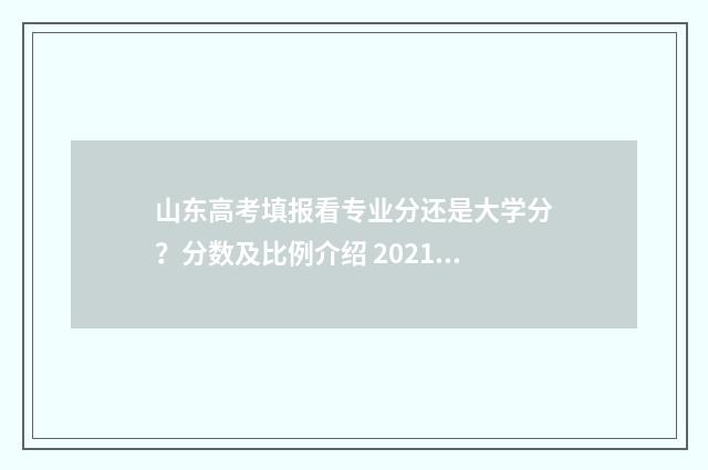 山东高考填报看专业分还是大学分?分数及比例介绍 2021山东高考填报流程