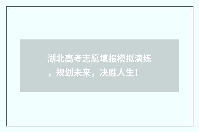 湖北高考志愿填报模拟演练，规划未来，决胜人生！