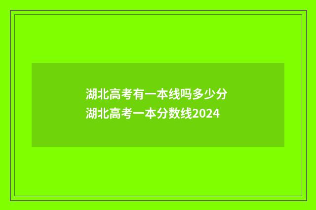 湖北高考有一本线吗多少分 湖北高考一本分数线2024
