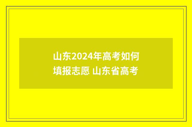 山东2024年高考如何填报志愿 山东省高考