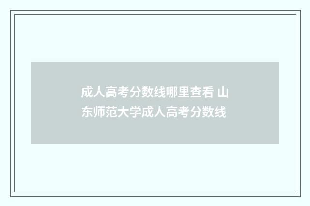 成人高考分数线哪里查看 山东师范大学成人高考分数线