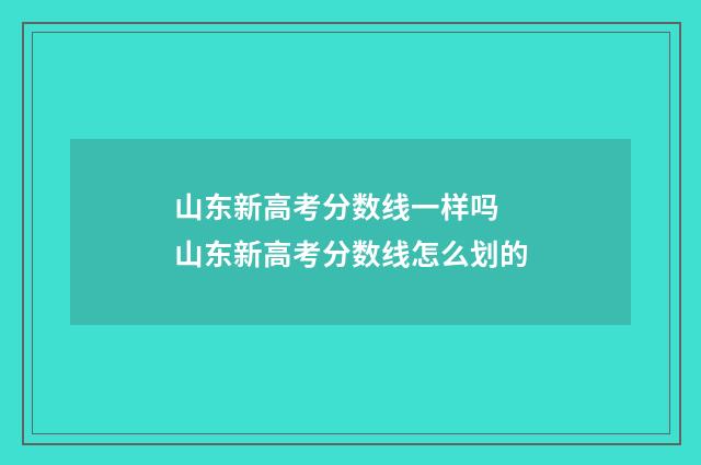 山东新高考分数线一样吗 山东新高考分数线怎么划的