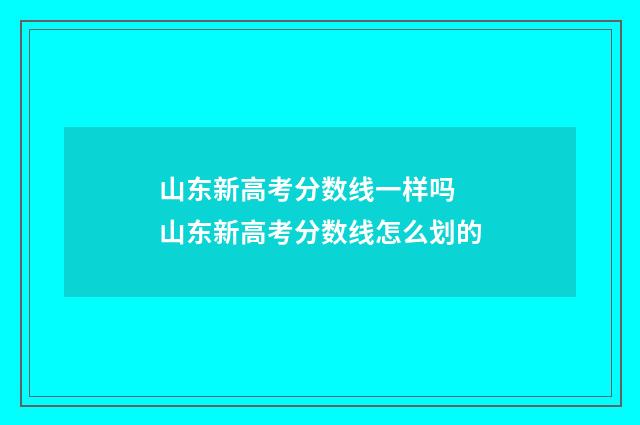 山东新高考分数线一样吗 山东新高考分数线怎么划的