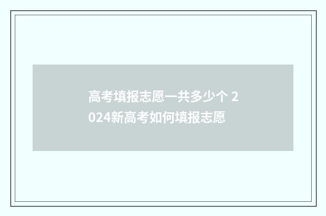 高考填报志愿一共多少个 2024新高考如何填报志愿
