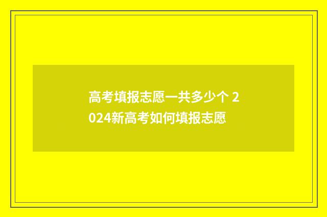 高考填报志愿一共多少个 2024新高考如何填报志愿