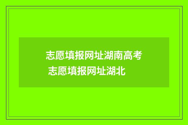 志愿填报网址湖南高考 志愿填报网址湖北