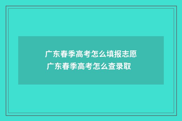 广东春季高考怎么填报志愿 广东春季高考怎么查录取