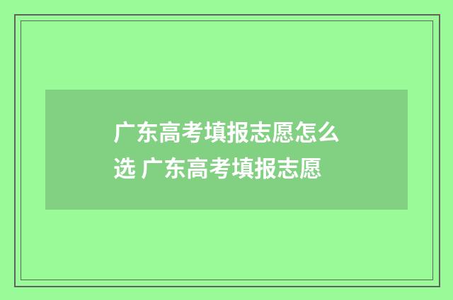 广东高考填报志愿怎么选 广东高考填报志愿
