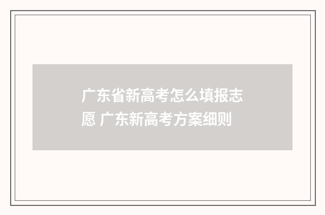 广东省新高考怎么填报志愿 广东新高考方案细则