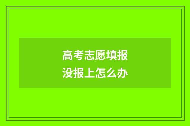 高考志愿填报没报上怎么办