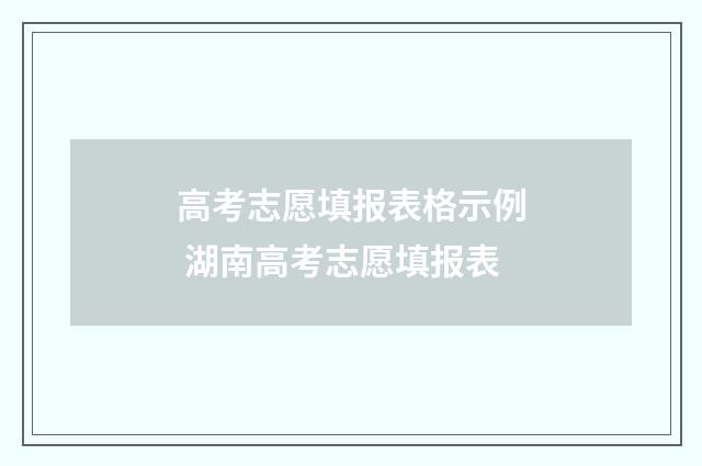 高考志愿填报表格示例 湖南高考志愿填报表