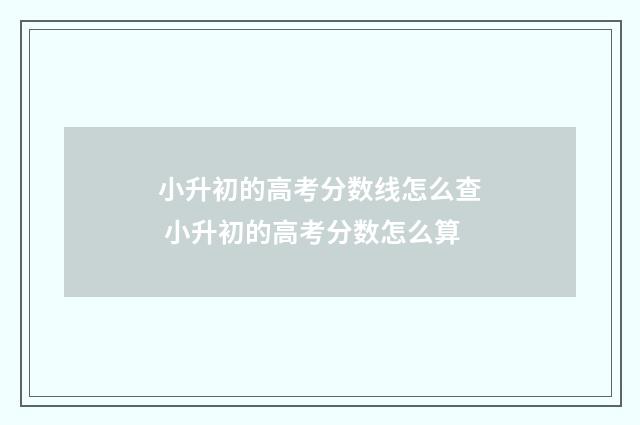 小升初的高考分数线怎么查 小升初的高考分数怎么算