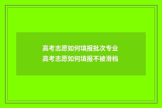 高考志愿如何填报批次专业 高考志愿如何填报不被滑档