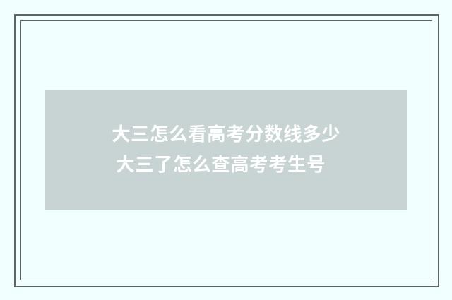 大三怎么看高考分数线多少 大三了怎么查高考考生号