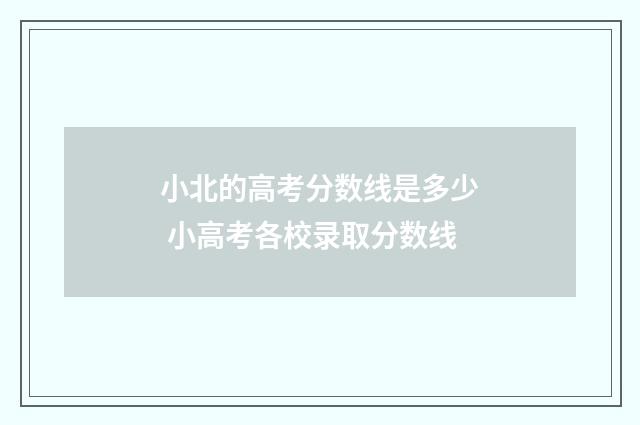 小北的高考分数线是多少 小高考各校录取分数线