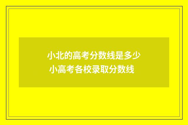 小北的高考分数线是多少 小高考各校录取分数线