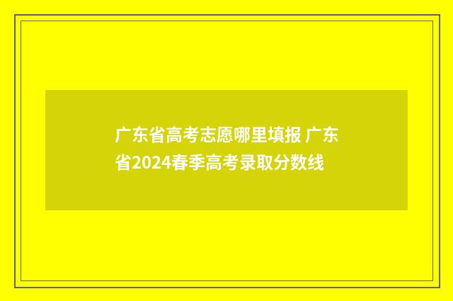 广东省高考志愿哪里填报 广东省2024春季高考录取分数线