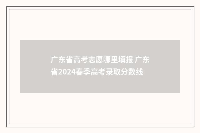 广东省高考志愿哪里填报 广东省2024春季高考录取分数线